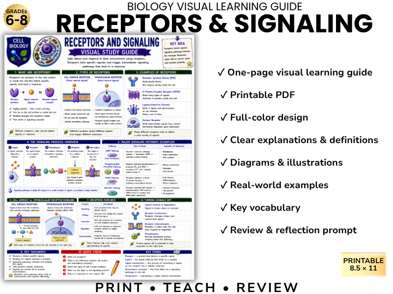 RECEPTORS & SIGNALING | Cell Biology Visual Learning Guide | Grade 8 & Middle School Science