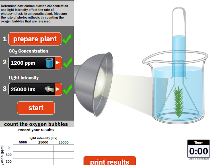 Limiting Factors of Photosynthesis Virtual Practical and Worksheets