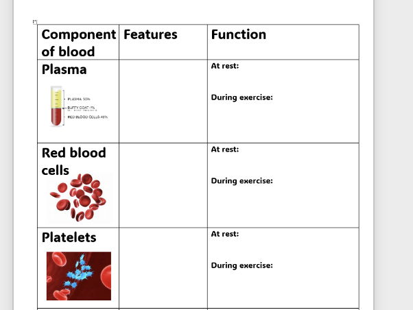 Component of blood worksheet