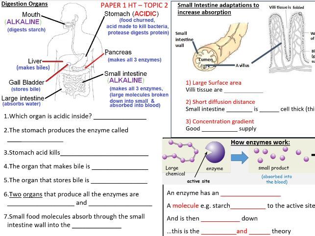 Organisation AQA Revision Resource. 2026. FT & HT ‘Knowledge Organiser’ style. Trilogy. Spec focus.