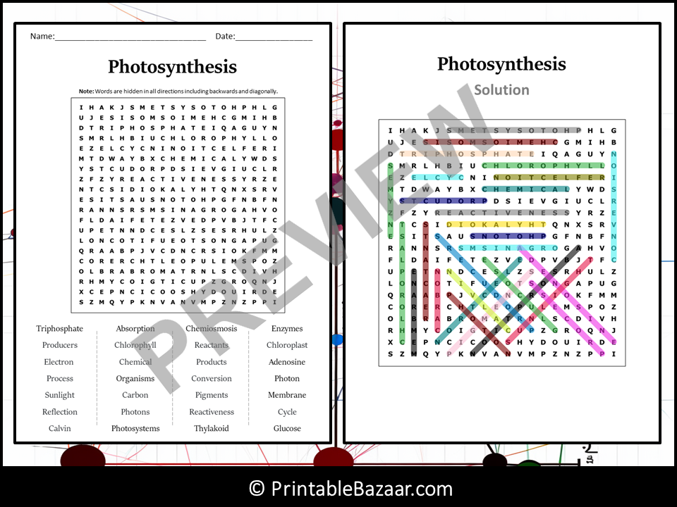 Photosynthesis Word Search Puzzle Worksheet Activity | Teaching Resources