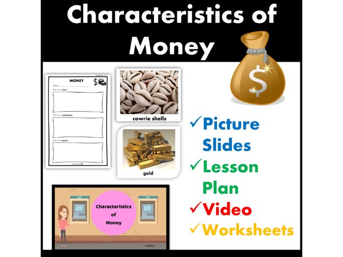 History and Characteristics of Money Economics Lesson