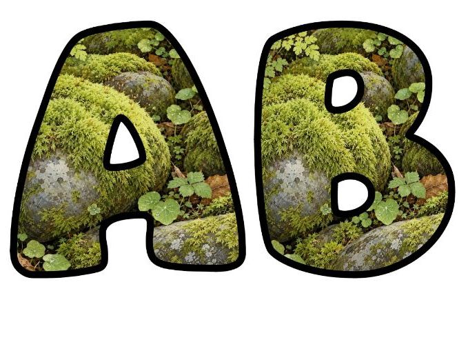 Mossy Rocks Nature Bubble Letters | Botanical Bulletin Board Letters | Classroom Display Pack