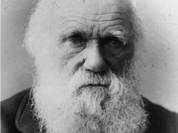 Darwin, Wallace and the theory of evolution