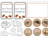 Let's Paint/Colour Hedgehogs