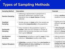 KS3 Maths Collecting Data Powerpoint