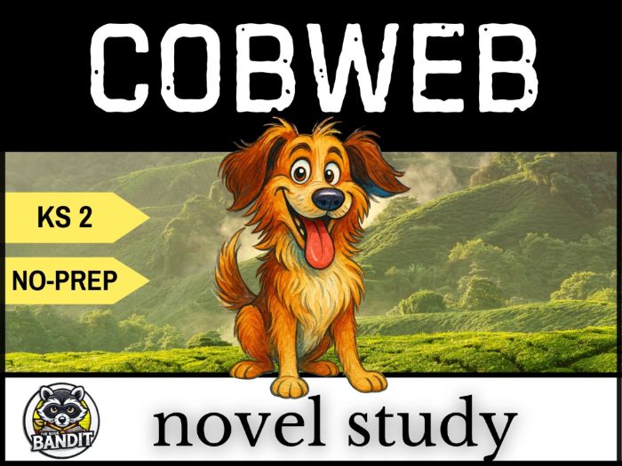 COBWEB NOVEL STUDY based on the story by Michael Morpurgo