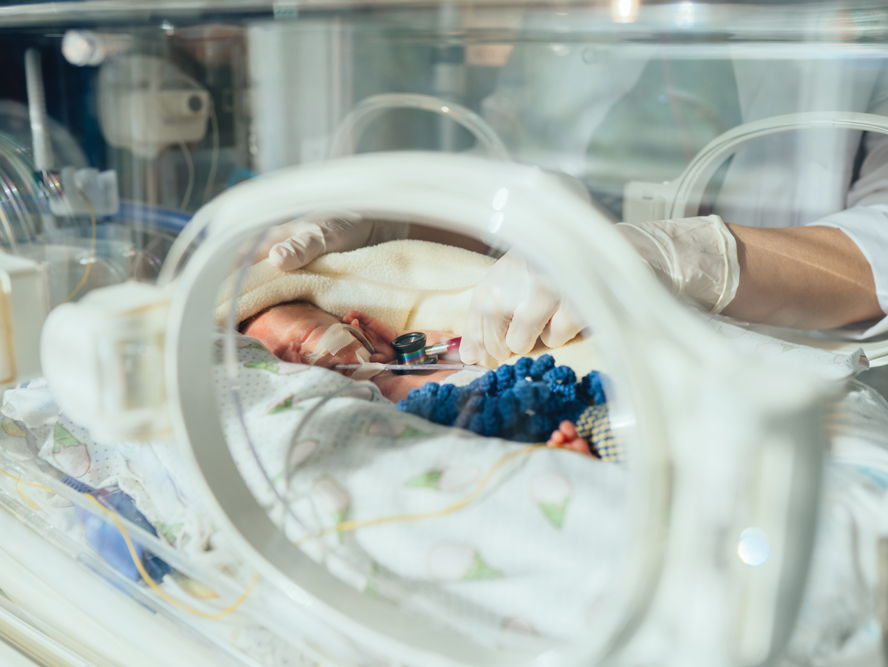 Exploring the cell structures that boost babies’ brain growth