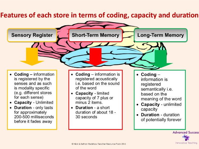 Capacity duration of short term memory short term memory loss