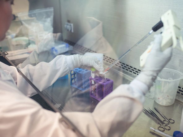 How do immune cells ‘evolve’ to protect us?