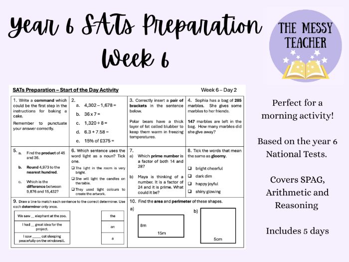 SATS Preparation Morning Activity - SPAG, Arithmetic and Reasoning - WEEK 6
