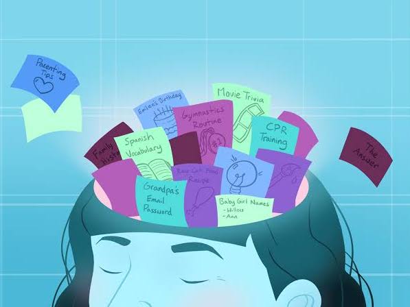 AQA A Level Psychology Memory 2025 Spec – Workbook & PowerPoint Bundle