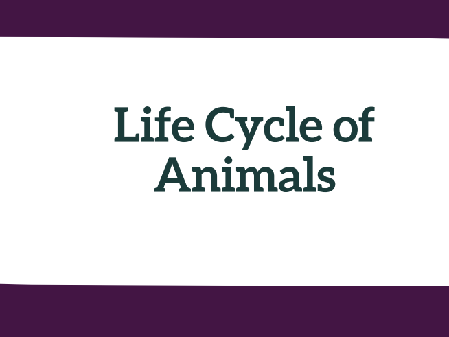 Grade 2 Science Curriculum Life Science -LIFE CYCLE OF ANIMALS | No-prep-NGSS