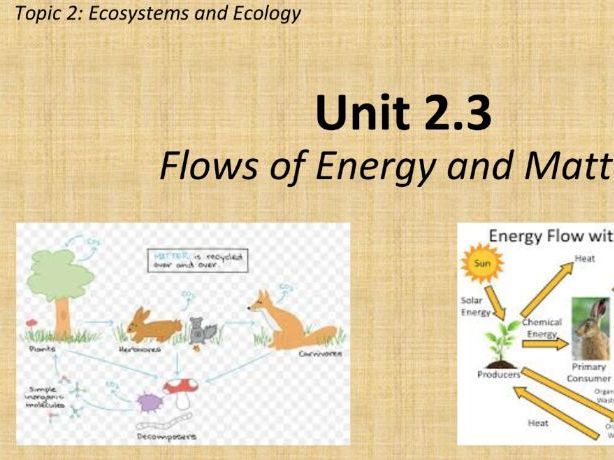 ESS 2.3 Flows of Energy and Matter