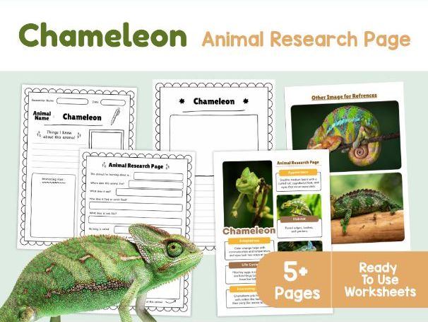 Chameleon Animal Research Page | KS2 Science Worksheets