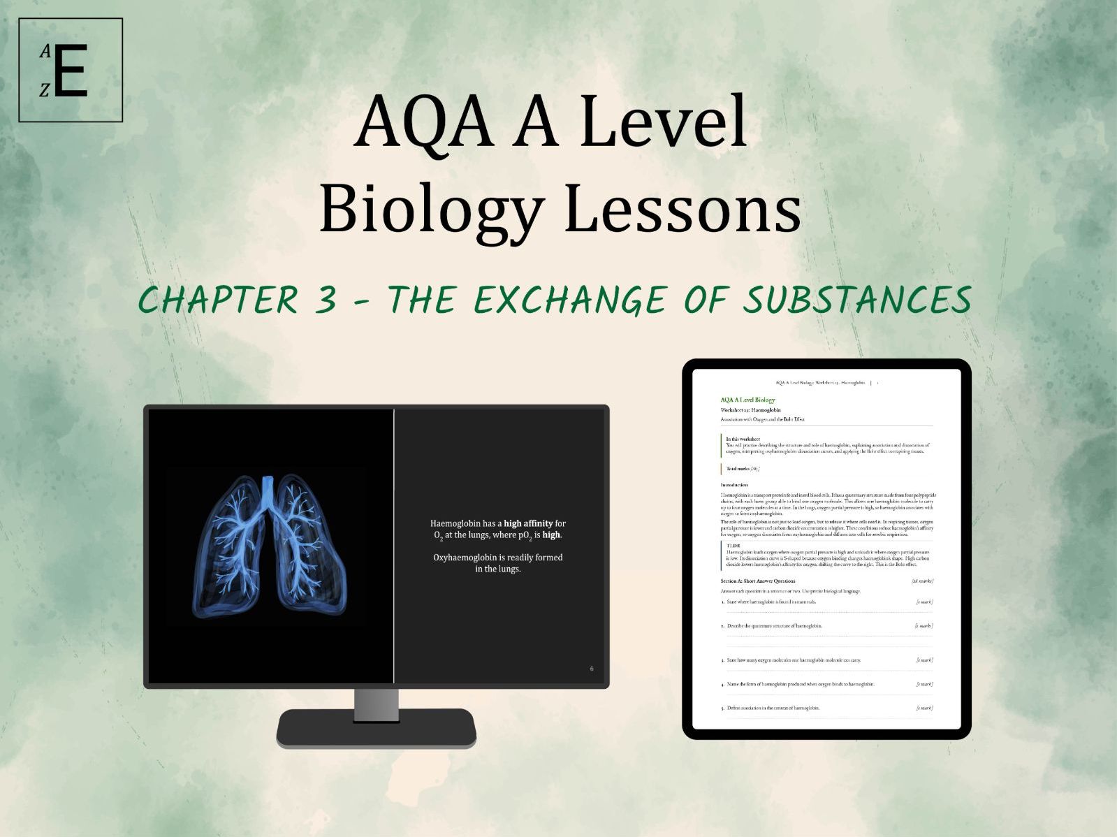 AQA A Level Biology Lessons Chapter 3 - The Exchange of Substances