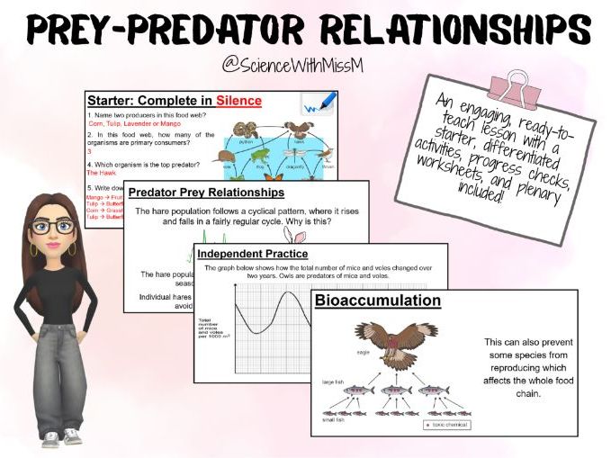 Prey and Predator Relationships KS3