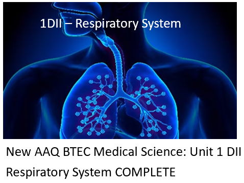 NEW: AAQ BTEC Medical Science Unit 1DII Respiratory System  COMPLETE
