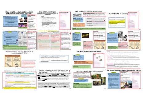 A-level Sociology – How do sociologists explain behaviour (Nature vs Nurture)?