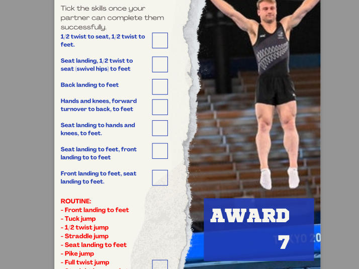 Trampolining Awards - Peer Reviews