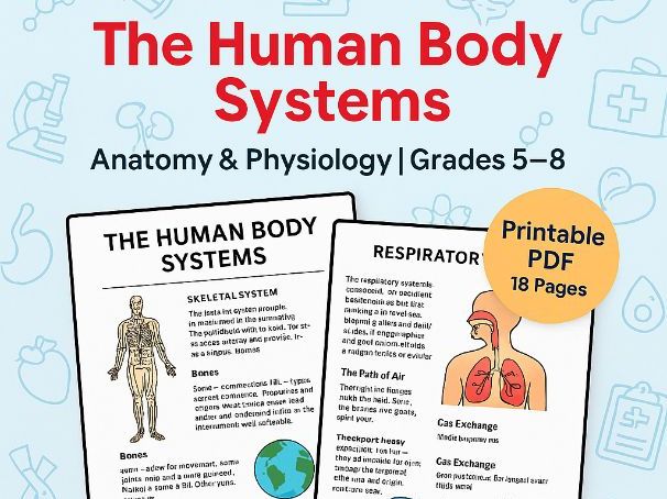 The Human Body Systems | Comprehensive Anatomy & Physiology Resource | Printable