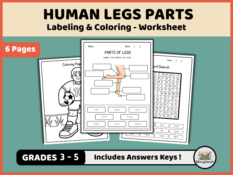Leg Body Parts | Human Anatomy | Labeling | Biology | Coloring Worksheet | EYFS | KS1 | KS2