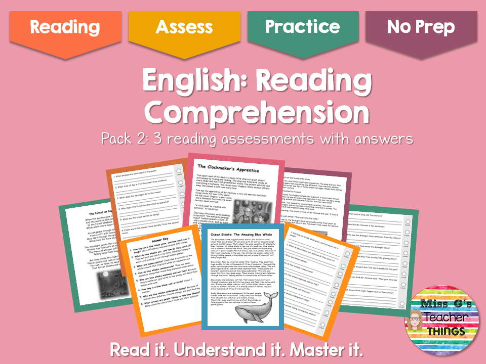 Year 3 Reading Comprehension Practice Papers | Pack 2 | 3 Texts + Answer Sheets