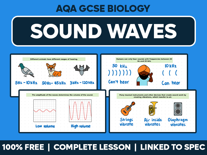GCSE AQA Physics Complete Lesson - Sound Waves