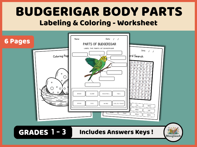 Budgerigar Body Parts | Budgie Anatomy | Labeling | Coloring Worksheet | Pets | EYFS | KS1