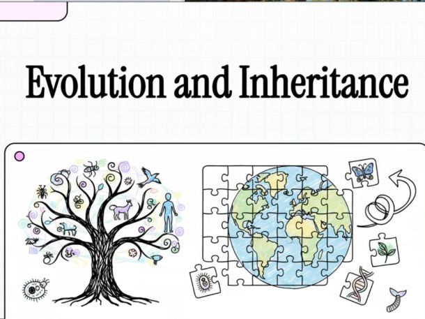 Y6 Evolution & Inheritance Revision Video | Visual Science Masterclass | Assessment Preparation