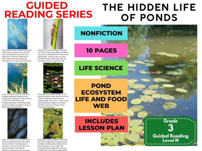 The Hidden Life of Ponds (with Lesson Plan)