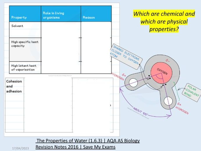 Biological Molecules AS Bio Water, Ions, Carbs (AQA)