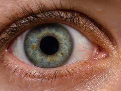 Unit 4 OCR Anatomy and physiology LO6 Sensory