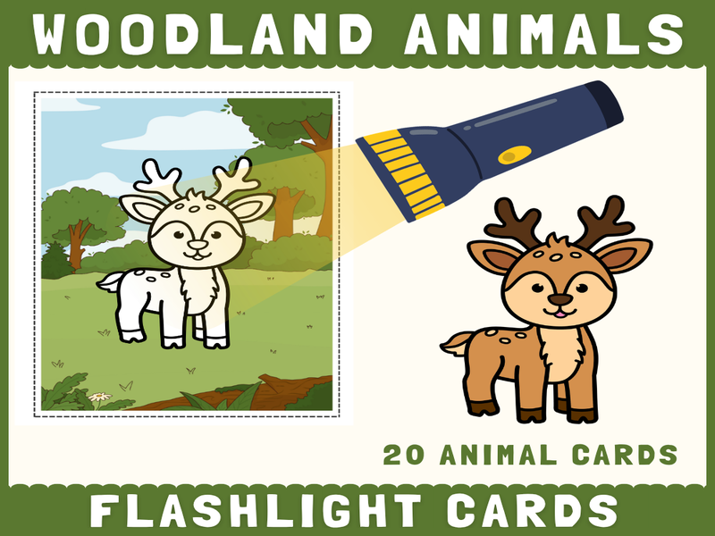 Woodland Animals Flashlight Cards | Hidden Picture Reveal Science Activity