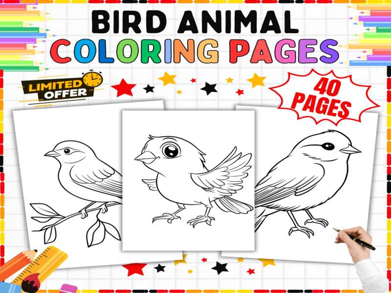 40 Bird Animal Coloring Pages for Kids | Cute Bird Colouring Sheets | No Prep Wildlife Printable A