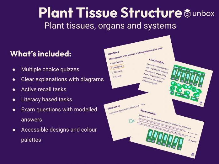 AQA GCSE 4.2.3.1 Plant tissues