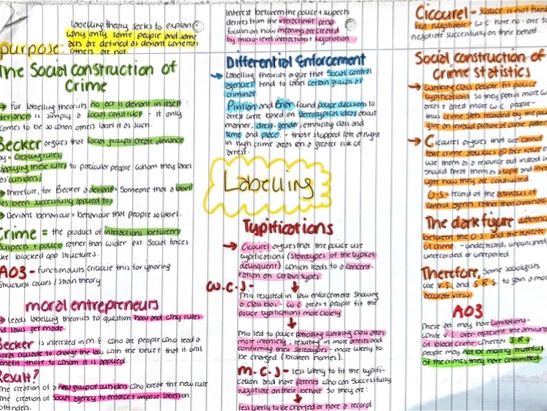 A2 Sociology: AQA/WJEC Crime and Deviance pre-made mindmaps
