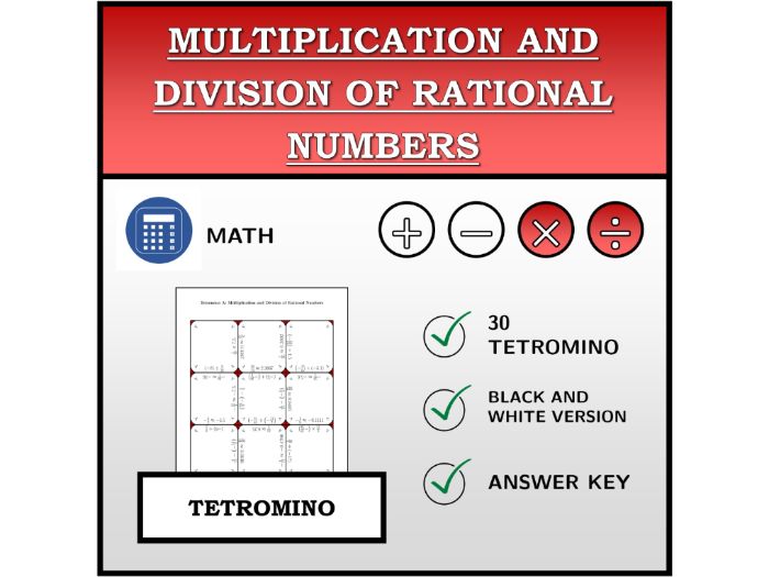 Tetromino | Multiplication and Division of Rational Numbers | Math Activity