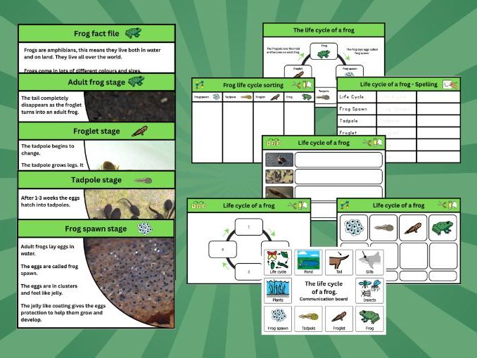 Frog Life Cycle bundle | Early level / KS1 / SEND | Worksheets, Sorting & Fact Files
