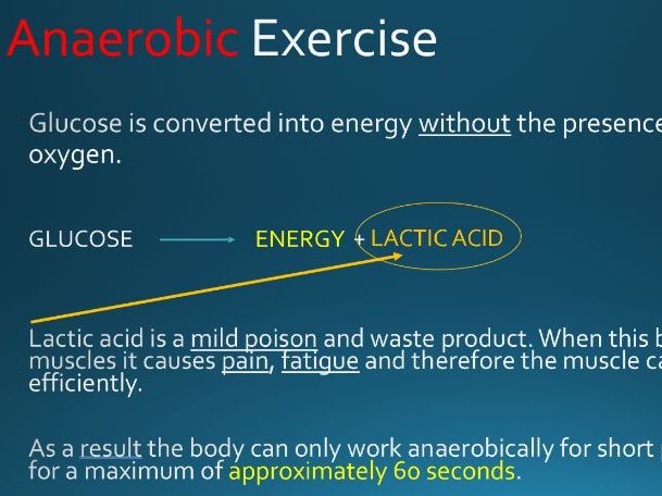 GCSE PE Energy Systems