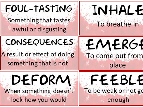 Pig Heart Boy Display Key Vocabulary