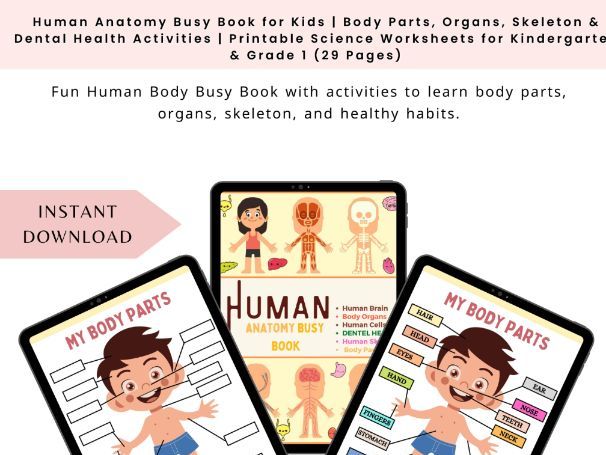 Human Anatomy Busy Book for Kids