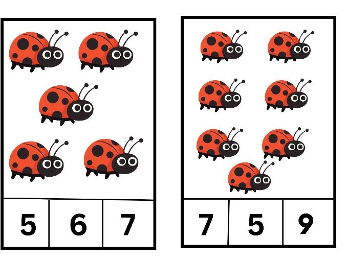 Ladybird Peg the Number – Counting to 10 Fine Motor Activity