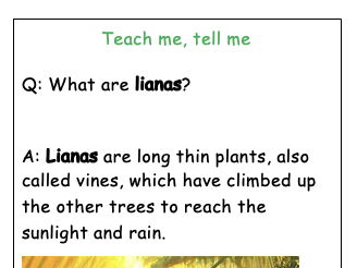 KS3 Geog Oracy Rainforest Teach me, tell me