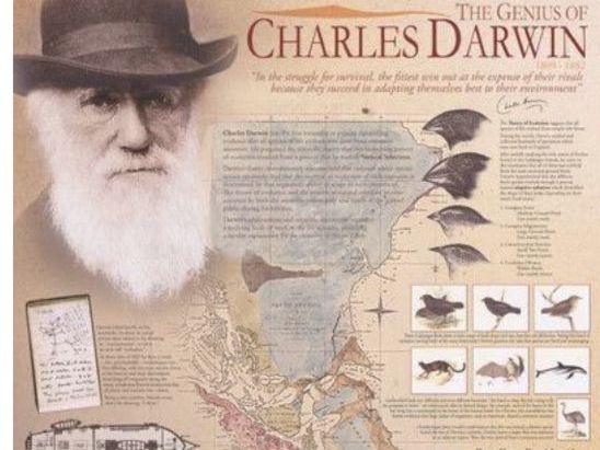 ESS 3.1 Biodiversity and Evolution first exams 2026