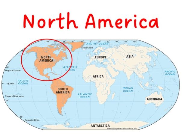 Assembly on: North America