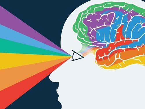 Visual Perception 1: Key Concepts - English & Chinese (Cambridge IGCSE Psychology 0266)