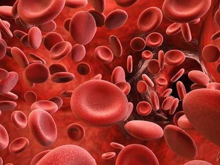 iGCSE Biology - 9.4 Blood