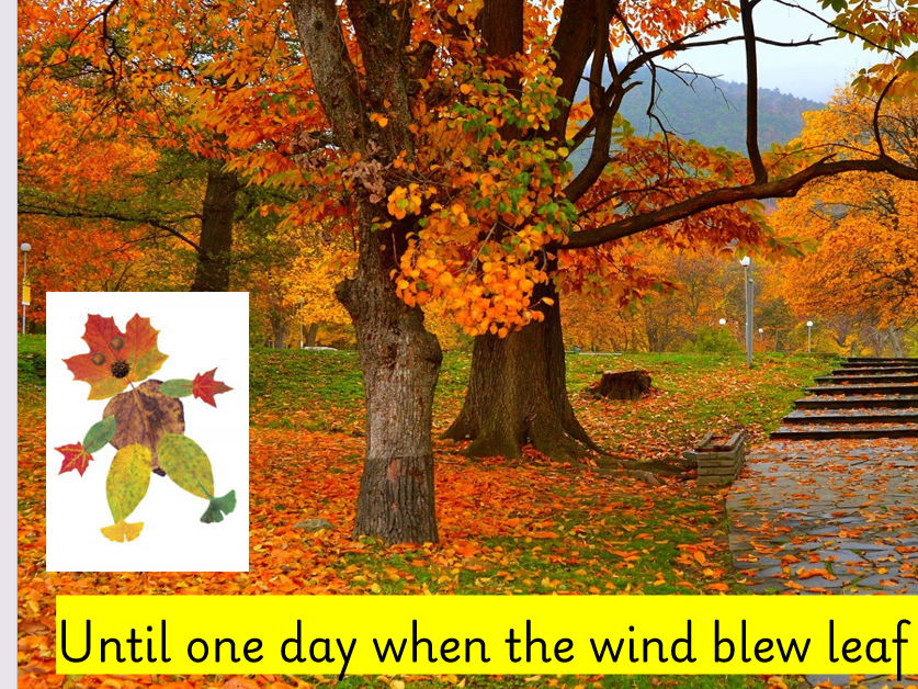 Leaf Man Adapted Story PPT