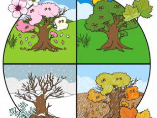 Seasons SEND series of work